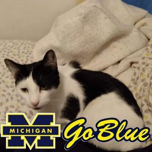 Meet your Posher, Chrissy